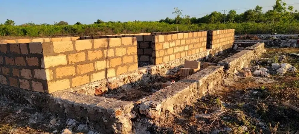 Das Fundament, 15.10.2024