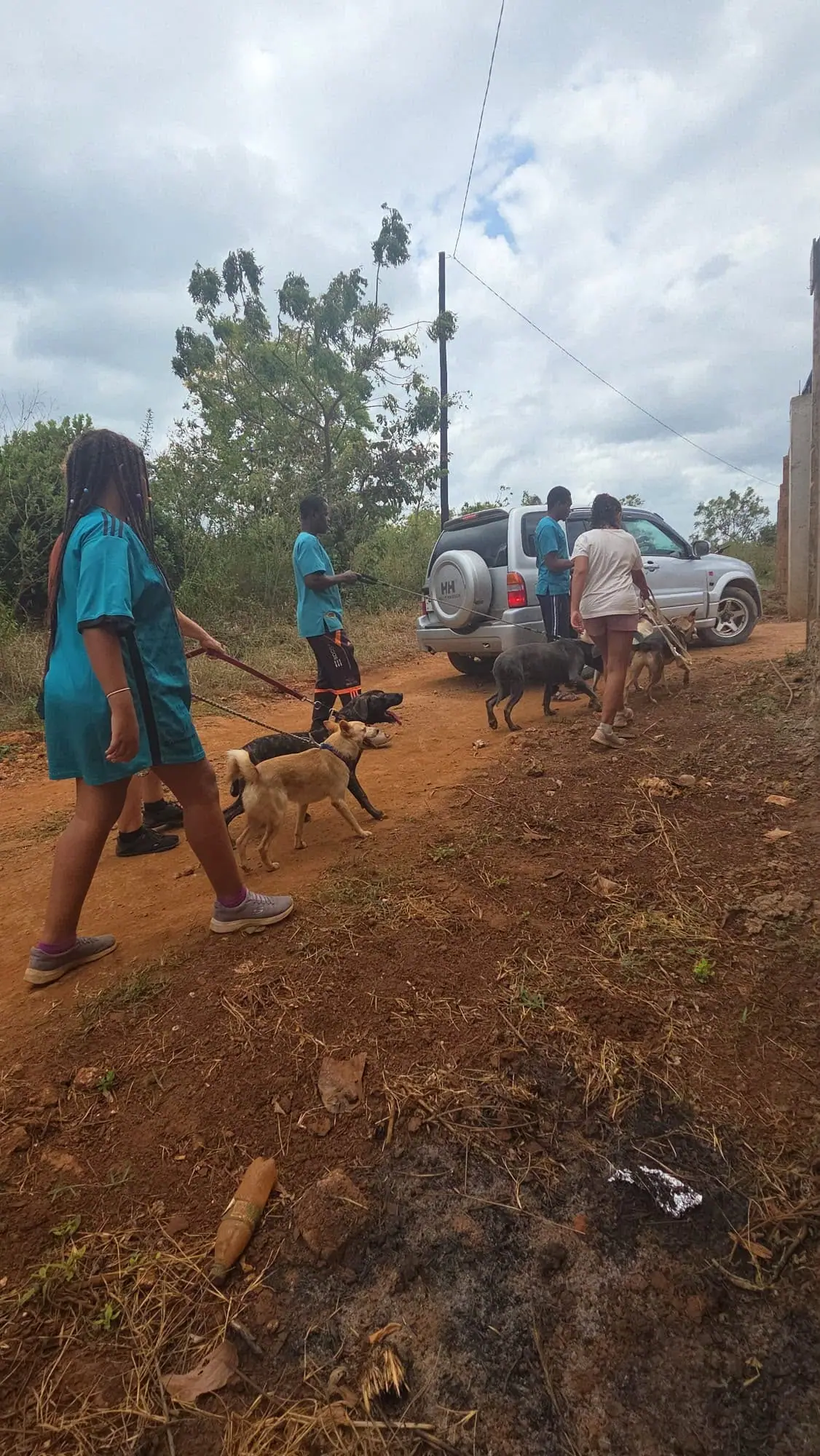 Mit den Hunden unterwegs